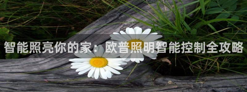 云顶国际酒店怎么样