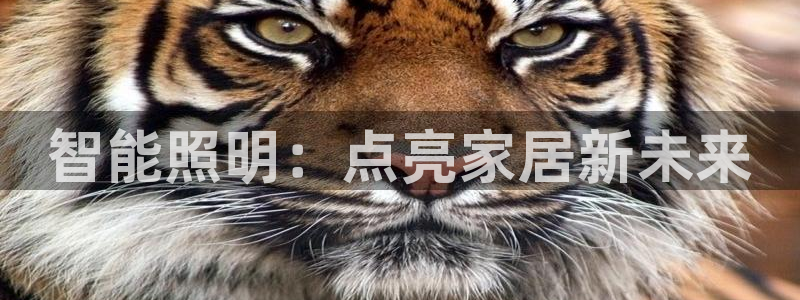 云顶国际百姓渔村有澳龙吗