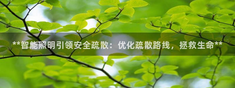 云顶集团简介资料