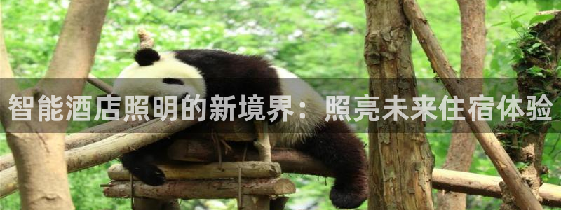 云顶国际百姓渔村有澳龙吗