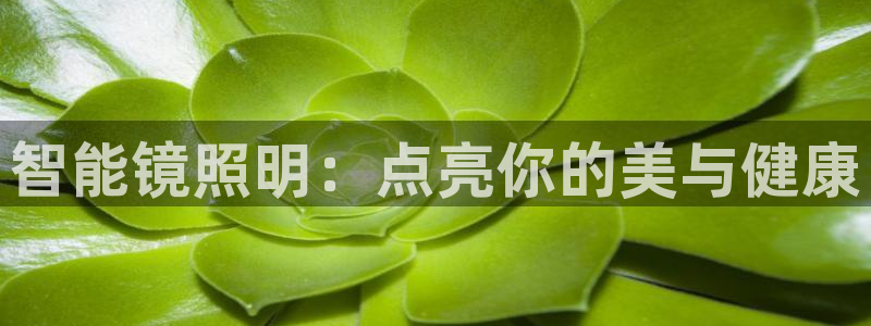 云顶国际物流