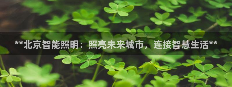 云顶国际测试服免费