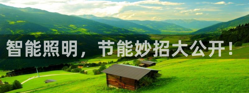 云顶路线图