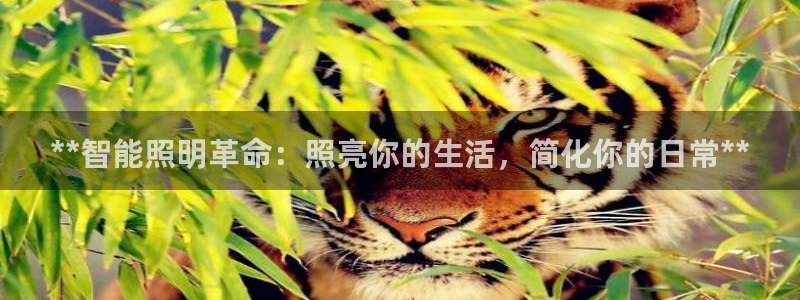 云顶国际游戏平台53m