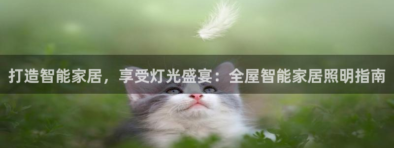 云顶国际提现失败怎么办