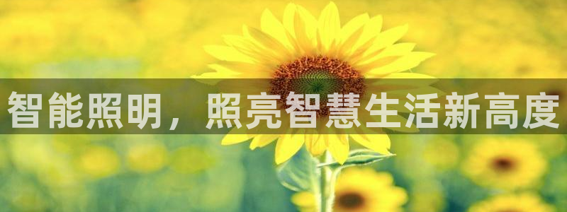 云顶的网址是多少