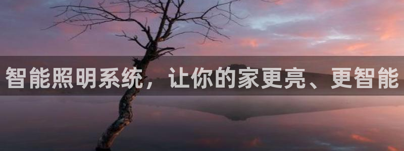 太原云顶国际酒店老板是谁