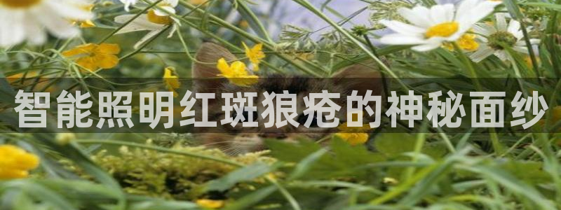 云顶国际提现多久到账