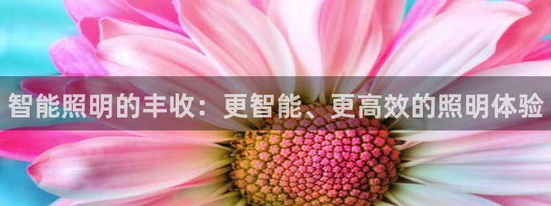 云顶手游国际版