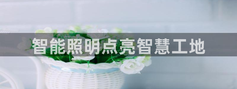 云顶集团网投领