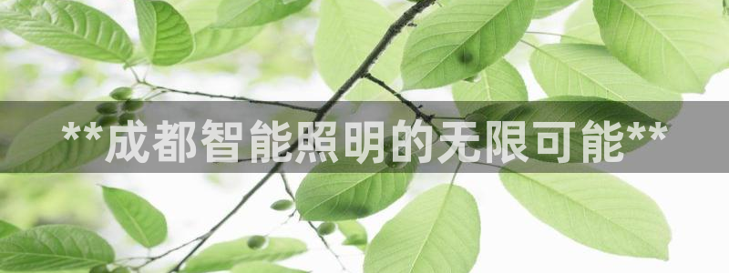 云顶国际城手机网址是多少