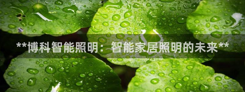 云顶国际的网址是多少位