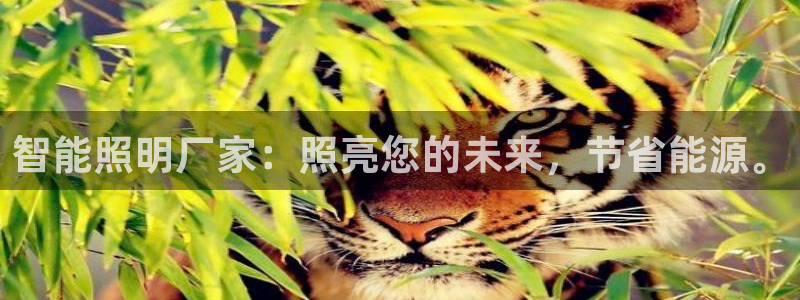 上海云顶国际会所有什么服务