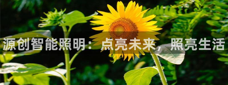 云顶集团下载app