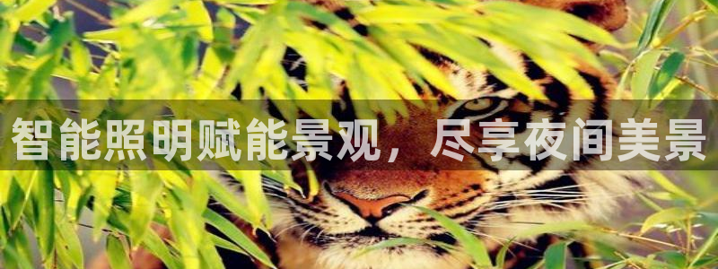 云顶12301网站