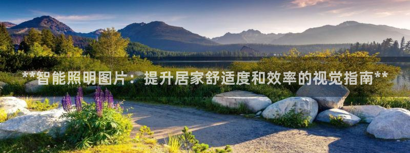 云顶国际提现不到账怎么办