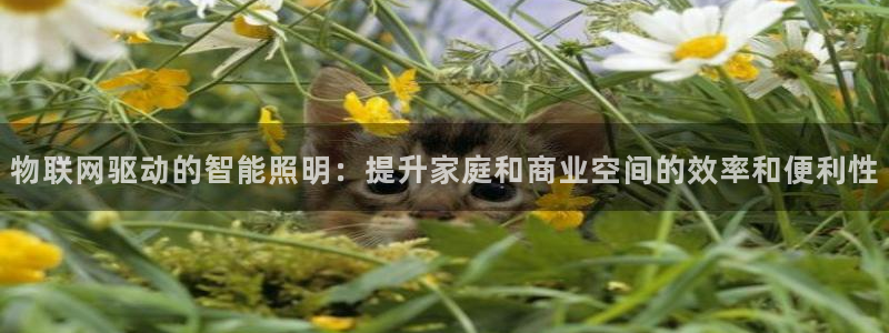 云顶高中国际部学费