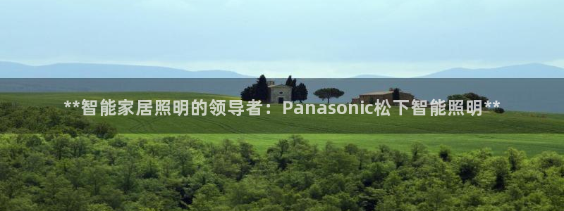 云顶国际是做什么的公司