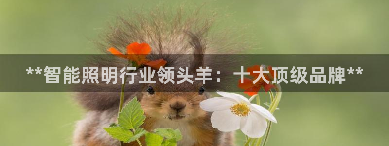 云顶集团网投领头
