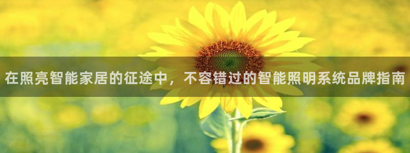 云顶最新t1