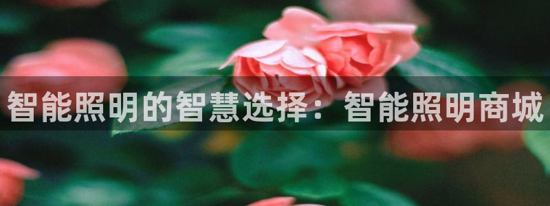 云顶国际是正规游戏吗