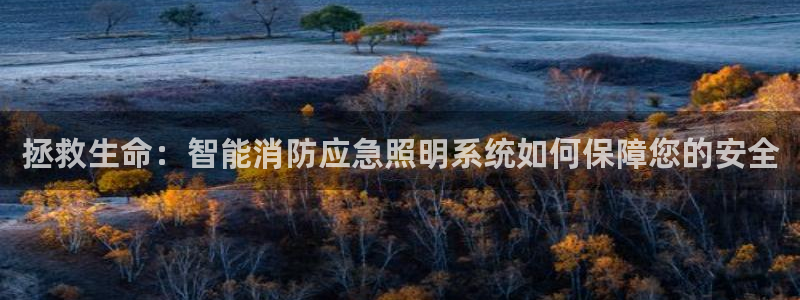 云顶国际集团官网网址