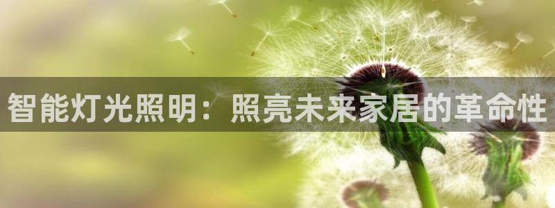 云顶国际服怎么下载