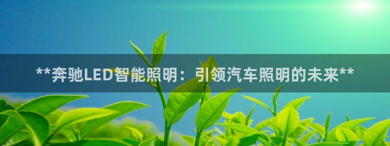 云顶国际app官方下载安装最新版