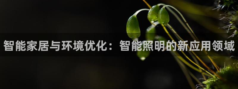 云顶国际公馆在哪：智能家居与环境优化：智