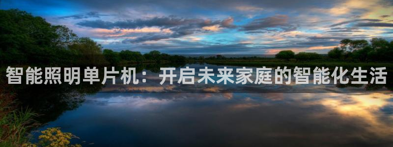 云顶电玩城游戏官网：智能照明单片机：开启