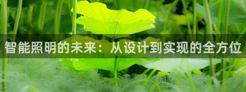 云顶国际服最新版：智能照明的未来：从设计